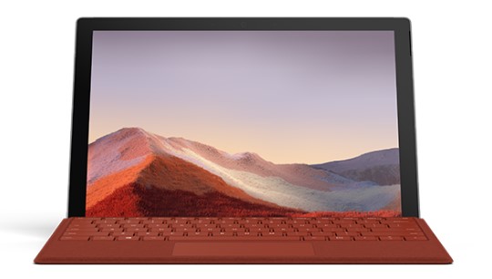 灵山清洁和维护 Surface